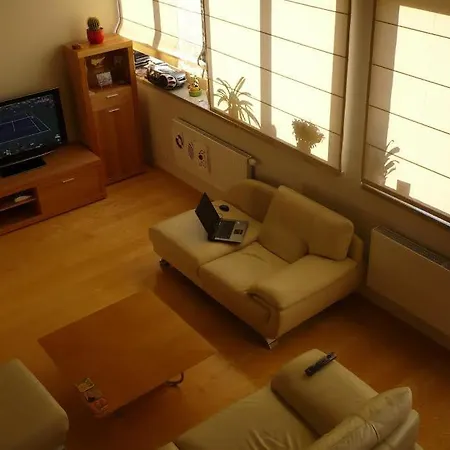 Down Town Flat Kaunas